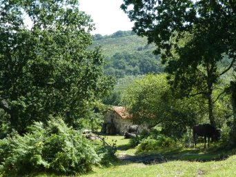 Refugio de Silla Oso (Herrera de Ibio)