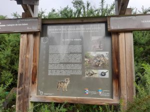 ruta del callejon de los lobos