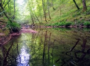 Ruta cascadas de Viaña